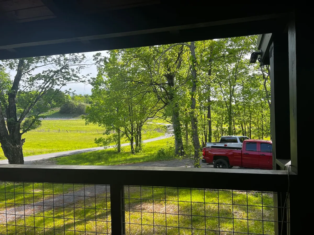 A peaceful view of the surrounding forest and a winding roadway, perfect for watching wildlife or planning scenic drives into nearby towns. The image evokes a sense of tranquility, with the promise of exploration just beyond the trees.